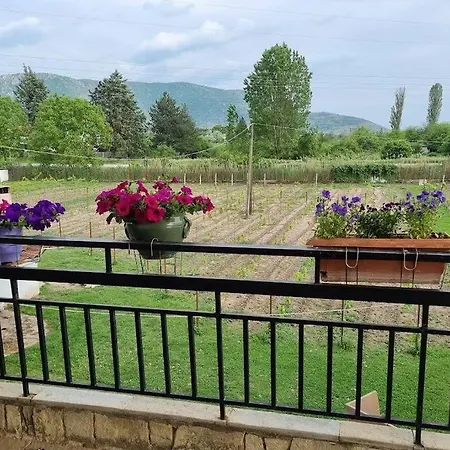 κτημα μποραβου *